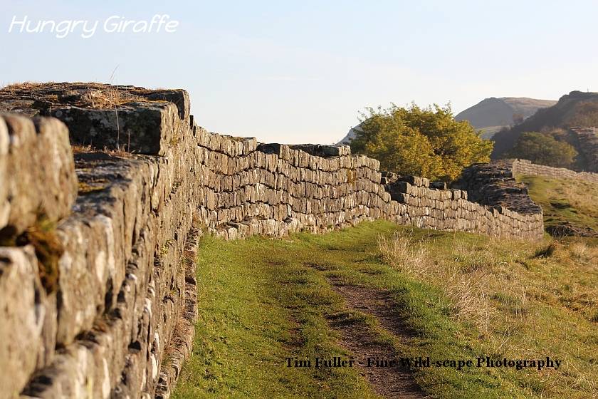 Hadrians Wall near Sycamore Gap
