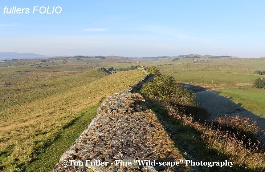 Hadrians Wall near Sycamore Gap