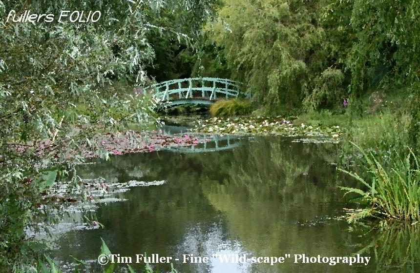 Bridge Over Water and Lilies