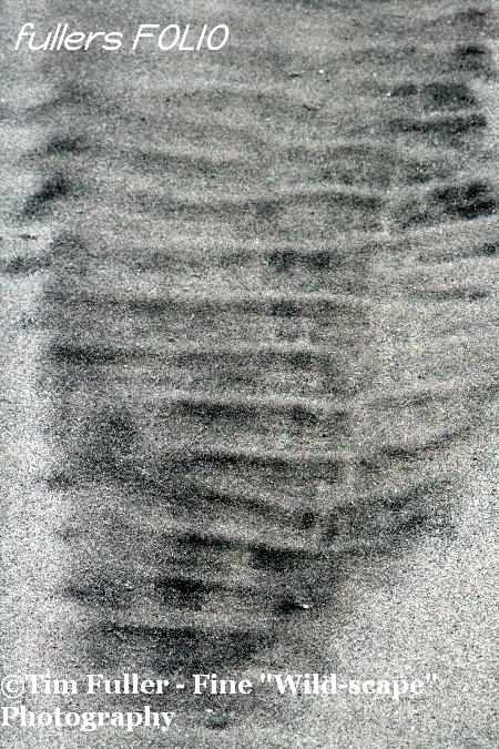Ripples in Sand