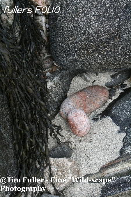 Pebbles and Seaweed