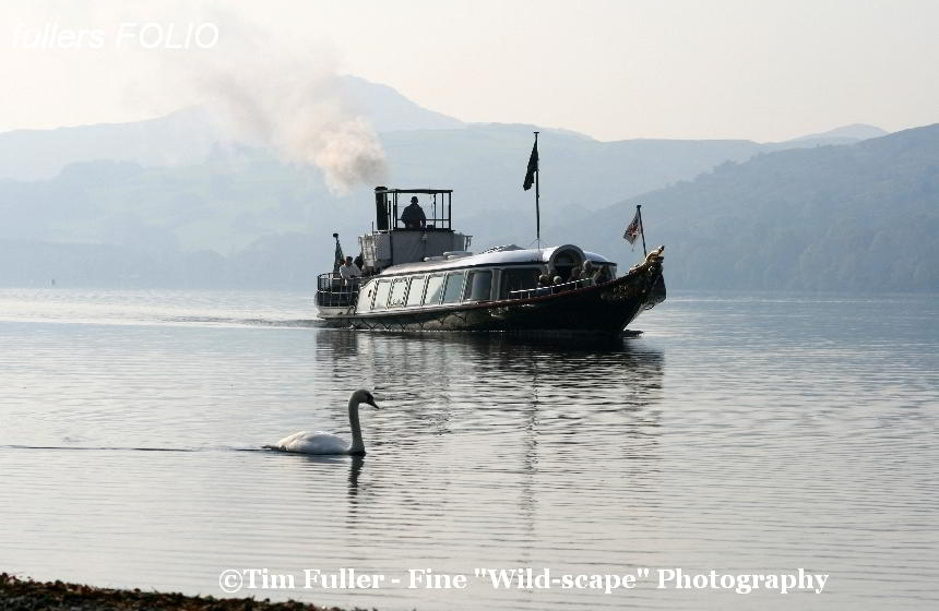 Steamer and Swan
