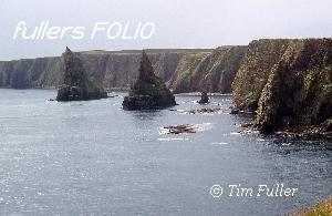 Image ofStacks at Duncansby