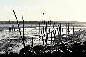 Image ofSolway Fishing Poles