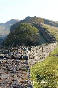 Image ofHadrians Wall near Sycamore Gap