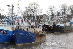 Image ofFishing Boats Kirkcudbright Harbour