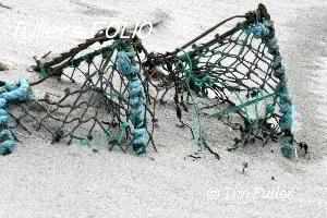 Image ofLobster Pots Buried in the Sand