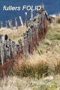 Image ofOld Wooden Fence